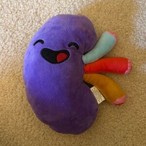 Attatoy Original Kidney Plush Anatomy Organ Transplant Huggable 8" Stuffed Toy